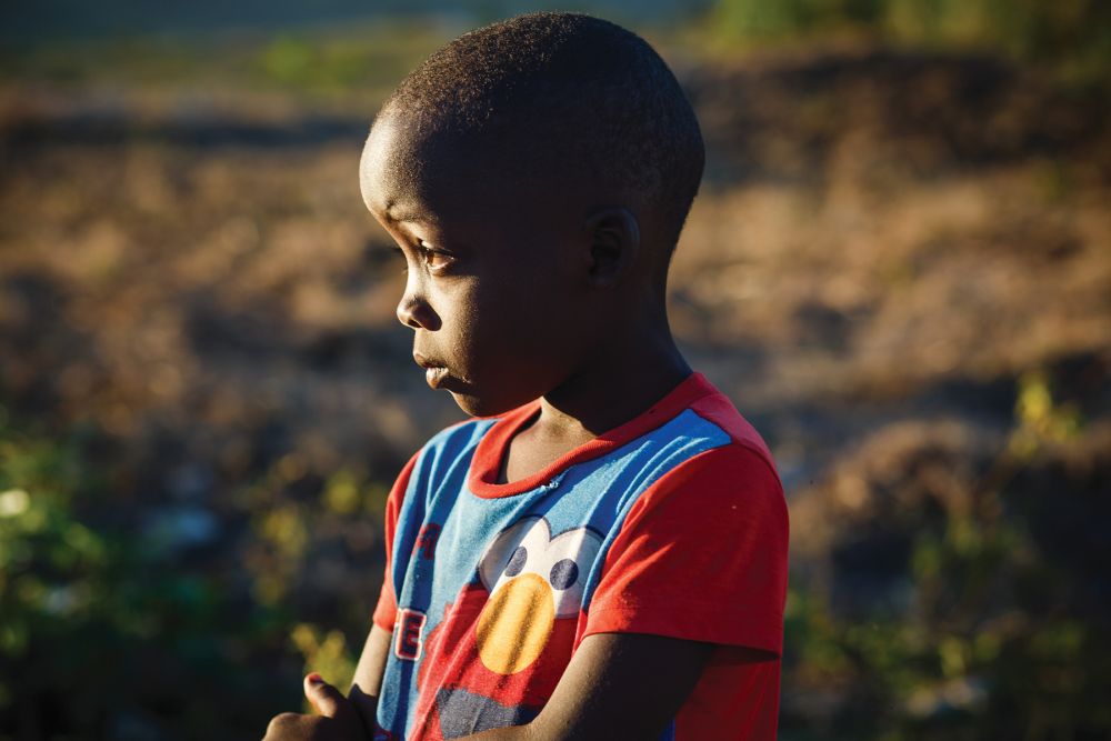 Chaos and Kingdom Collage2